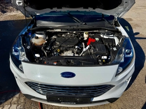 Ford Kuga 1,5 EcoBlue Titanium Bild 5