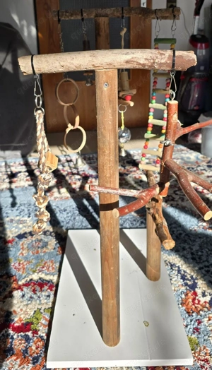 Freisitz Vogel  Freisitz Sittiche  Freisitz Papageien