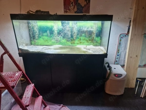 Aquarium 450l von der Marke juwel  Bild 2