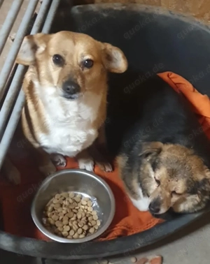 Omi Bengy - ein liebenswertes Seelchen Bild 7