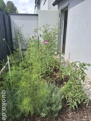 Haus zu verkaufen Bild 4