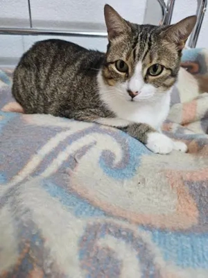 armer Knopf Miki in Essen (ALO) Bild 5