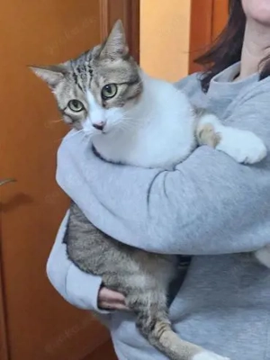 armer Knopf Miki in Essen (ALO) Bild 4