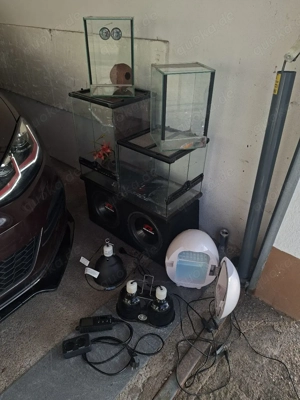 Terrarium + Zubehör