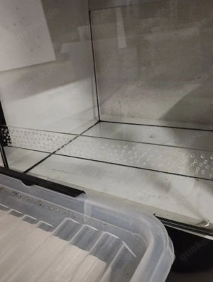 30x30x30 Glasterrarium 