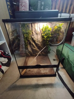 exo terra 45-45-60 mit Lichtkasten und Rückwand 