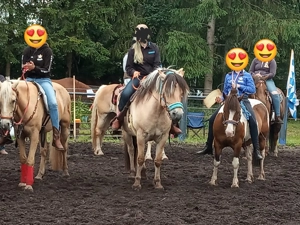 Western gerittener Norweger   Fjord zu verkaufen