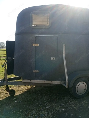 pferdeanhänger Vollpoly 