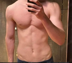 Hengst sucht Paar oder Sie  Bild 2