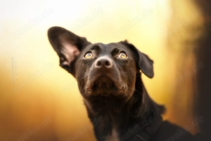 Funny unsere kleine Elfe