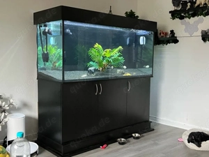 Aquariumkombination 1 Jahr alt  