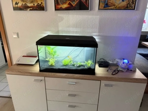Aquarium 60 l 