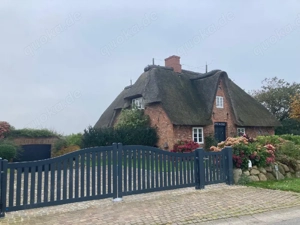 Hunde& Katzen Betreuung 