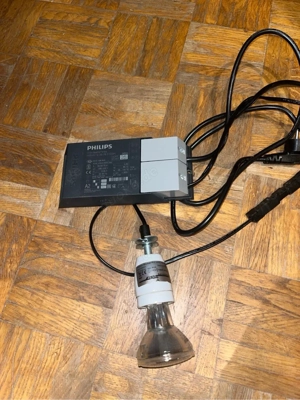 zubehör schildkröte reptilien wärmelampe