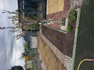 pacht Schrebergarten