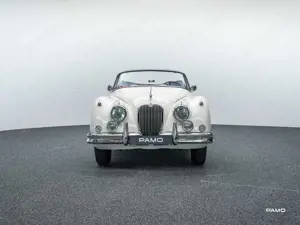 Jaguar XK Jaguar XK 150 DHC Bild 2