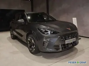 CUPRA Terramar VZ 2.0 TSI AHK,Matrix,Navi Bild 2