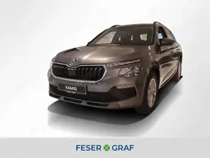 Skoda Kamiq 1.0 TSI Selection DSG ACC Kessy RüKa Sitzh