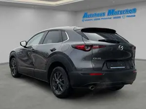 Mazda CX-30 Selection HUD Navi LED ACC El. Heckklappe Apple Ca Bild 3