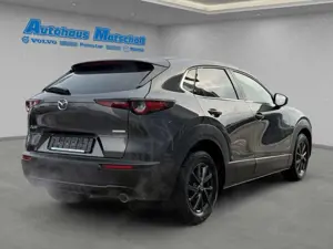 Mazda CX-30 Selection HUD Navi LED ACC El. Heckklappe Apple Ca Bild 5