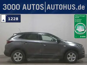 Opel Grandland X 1.5 D Design Edition T-Leder LED AHK