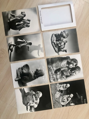 7 Ansichtskarten Dorothea Steigerwald um 1950 Bild 3