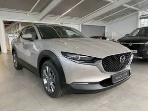 Mazda CX-30 2.5 Exclusive AUTOMATIK Alexa, Bose, Matrix, 360°,