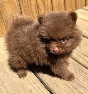 25 % Rabatt für begrenzte Zeit verfügbar