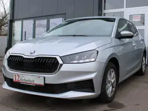 Skoda Fabia Active  Sitzheizung+DAB-Radio+PDC hinten