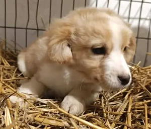 Benson sucht seine Menschen