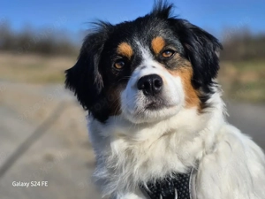 Brioche- sanft und besonders