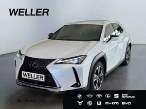 Lexus UX 250h Style Edition *Bi-LED*ACC*CAM*SHZ*CarPlay*