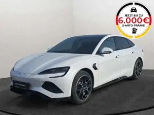 BYD Dolphin DOLPHIN SURF Comfort