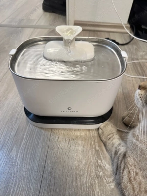 Petlibro Dockstream Wasserbrunnen mit Bewegungsmelder