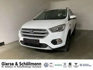 Ford Kuga 2.0 TDCi Titanium AHK+SHZ+KLIMAAUTO