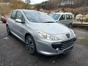 Peugeot 307 Grand Filou Cool 110 Bild 2