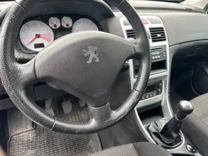 Peugeot 307 Grand Filou Cool 110 Bild 3