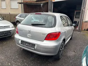 Peugeot 307 Grand Filou Cool 110 Bild 5
