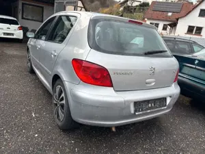 Peugeot 307 Grand Filou Cool 110 Bild 4