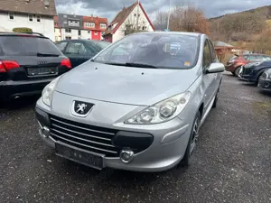 Peugeot 307 Grand Filou Cool 110