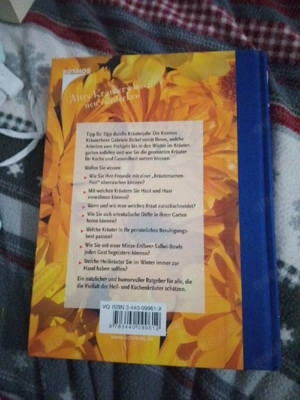 buch, 365 Hexen Tipps 