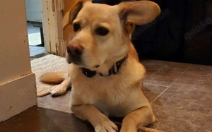 Sintra freut sich auf dich!