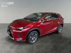 Lexus NX 300 h Executive Line +Kamera+Navi+Leder+4x4+ Bild 2