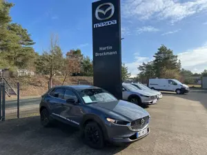Mazda CX-30 2.5 140 PS e-SKYACTIV G Homura Automatik