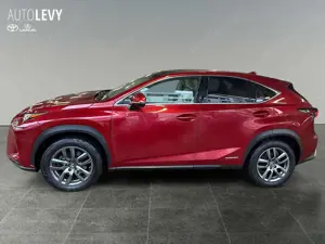 Lexus NX 300 h Executive Line +Kamera+Navi+Leder+4x4+ Bild 3