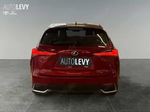 Lexus NX 300 h Executive Line +Kamera+Navi+Leder+4x4+ Bild 5