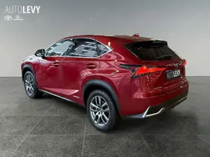 Lexus NX 300 h Executive Line +Kamera+Navi+Leder+4x4+ Bild 4