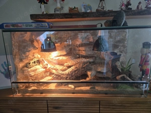 Terrarium Glasterrarium 120x40 Wüste Steppe