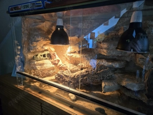 Terrarium mit viel Zubehör 120x40