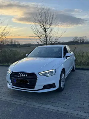 Audi A3 basis